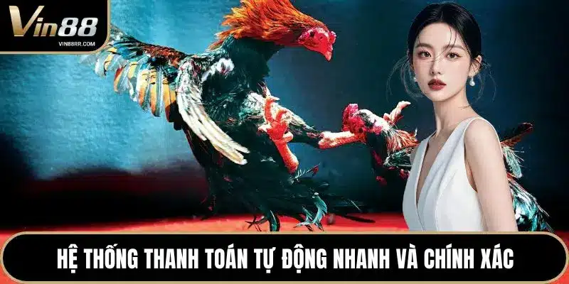 Đá Gà VIN88 - Đấu Trường Đỉnh Cao Cho Sư Kê Chuyên Nghiệp - tokupe