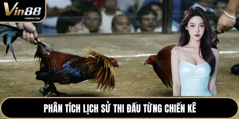 Đá Gà VIN88 - Đấu Trường Đỉnh Cao Cho Sư Kê Chuyên Nghiệp - tokupe