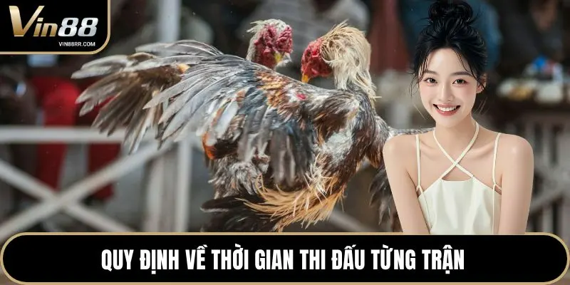 Đá Gà VIN88 - Đấu Trường Đỉnh Cao Cho Sư Kê Chuyên Nghiệp - tokupe