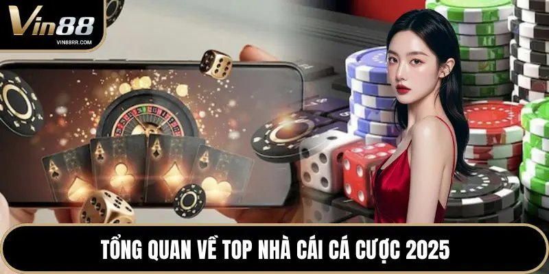 Top nhà cái cá cược 2026 - Địa chỉ đầu tư uy tín an toàn - tokupe