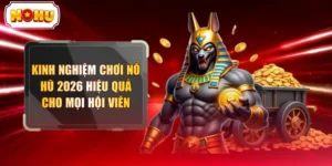 Thủ Thuật NOHU 2026 - Càng Chơi Càng Thắng, Không Lỗ Vốn  - tokupe