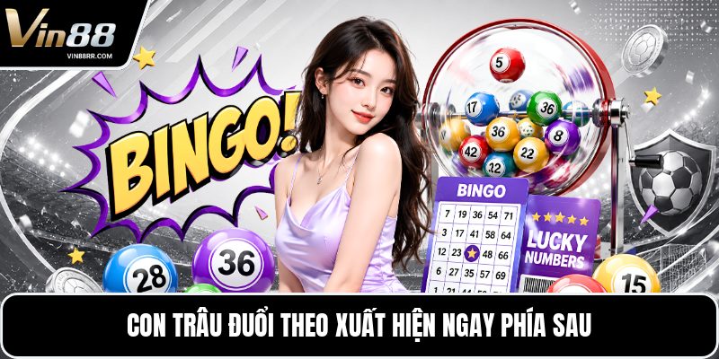 Mơ Thấy Con Trâu - Điềm Báo Cùng Những Con Số Gợi Ý - tokupe Mơ Thấy Con Trâu - Điềm Báo Cùng Những Con Số Gợi Ý - tokupe