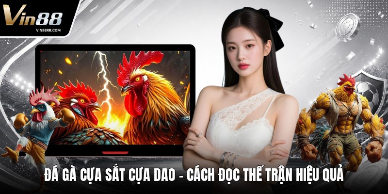 Đá Gà Cựa Sắt Cựa Dao - Cách Đọc Thế Trận Hiệu Quả - tokupe