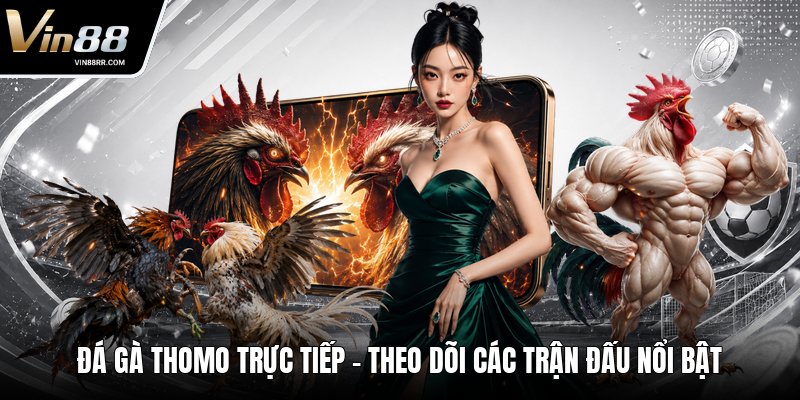 Đá Gà Thomo Trực Tiếp - Theo Dõi Các Trận Đấu Nổi Bật - tokupe